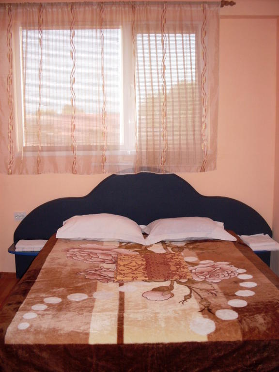 Pensiunea Nicol Tulcea Room photo